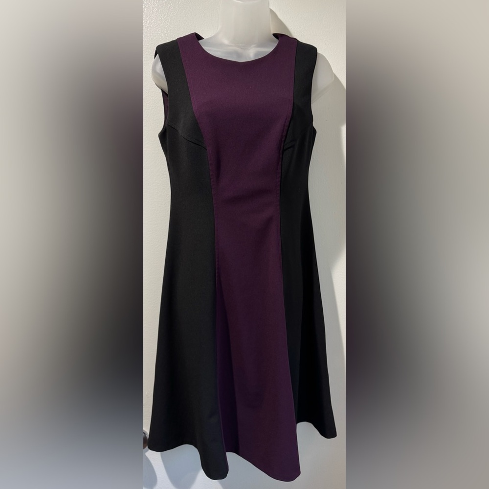Tommy Hilfiger Colorblock Fit & Flare Dress (Size 6)